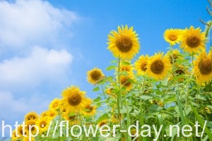 3e53b4709e8178e2b54a4a0685ca26a0_s
